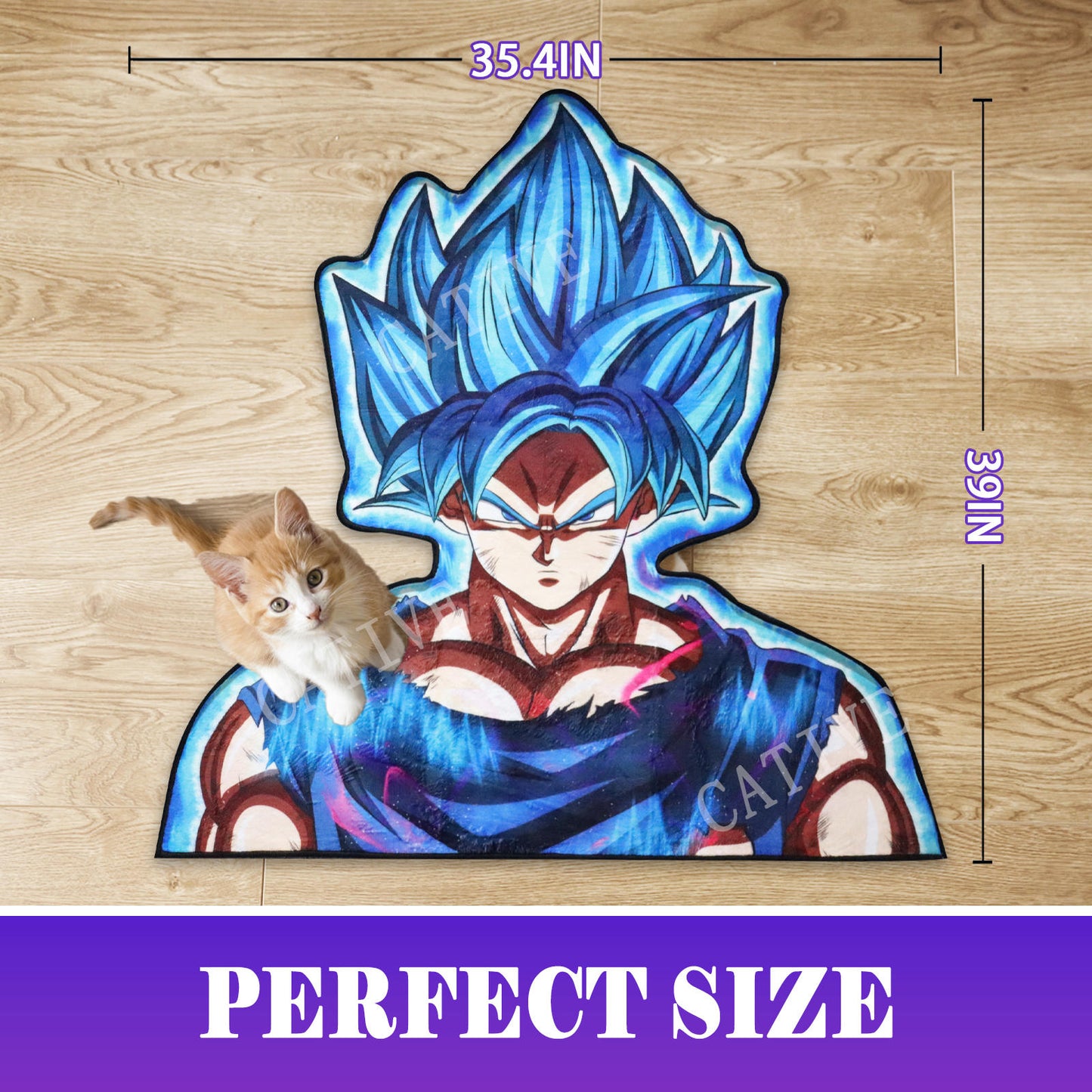 Super Saiyan Blue Goku