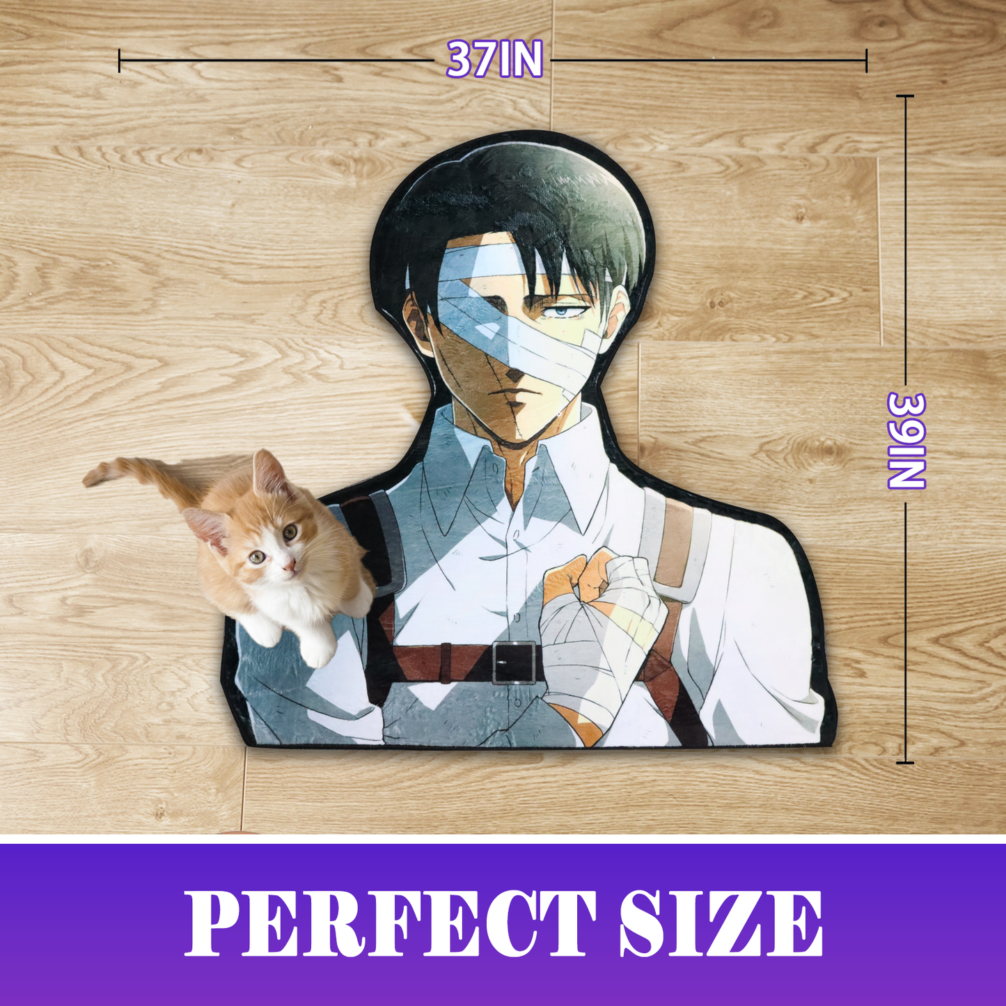 Levi Ackerman