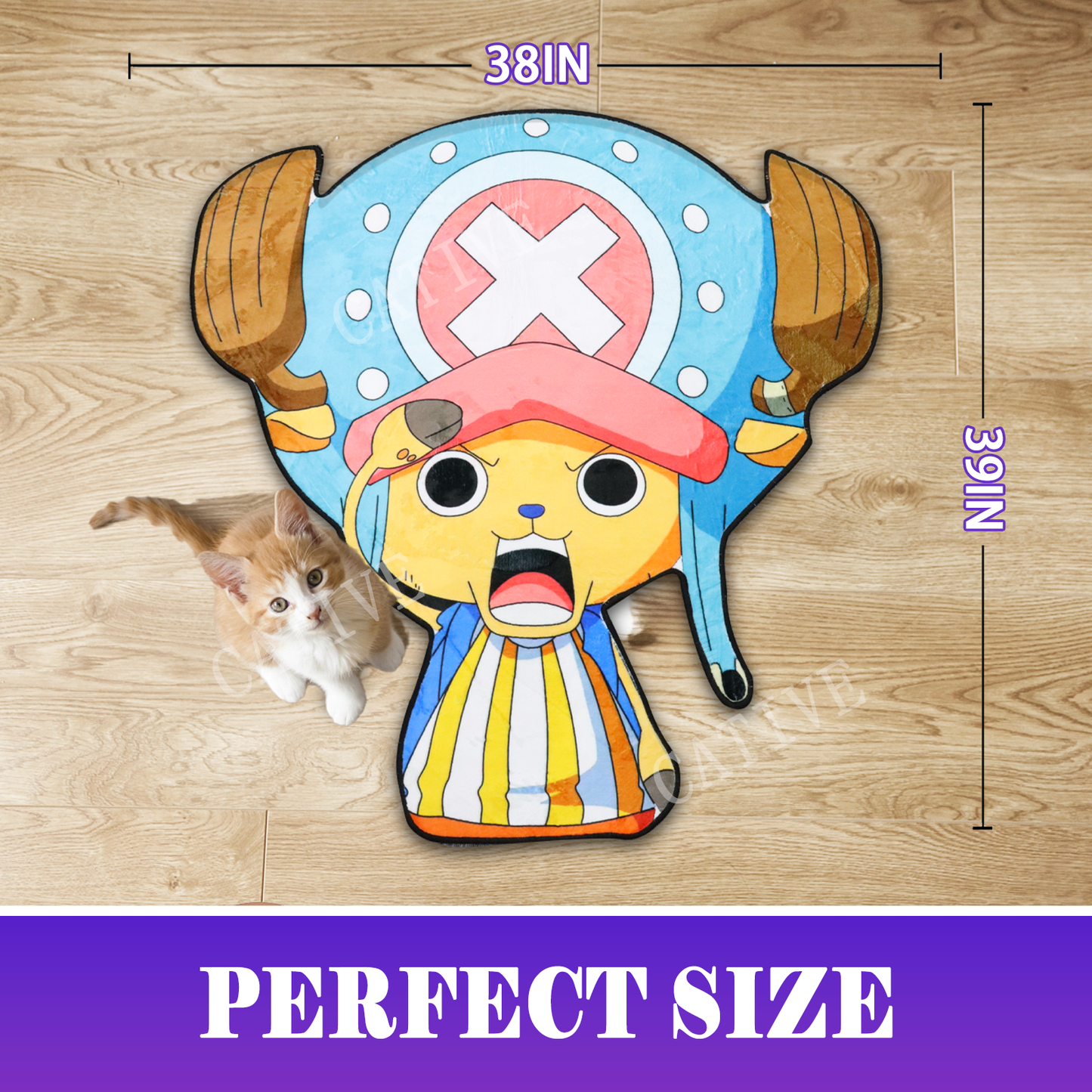 Tony Tony Chopper