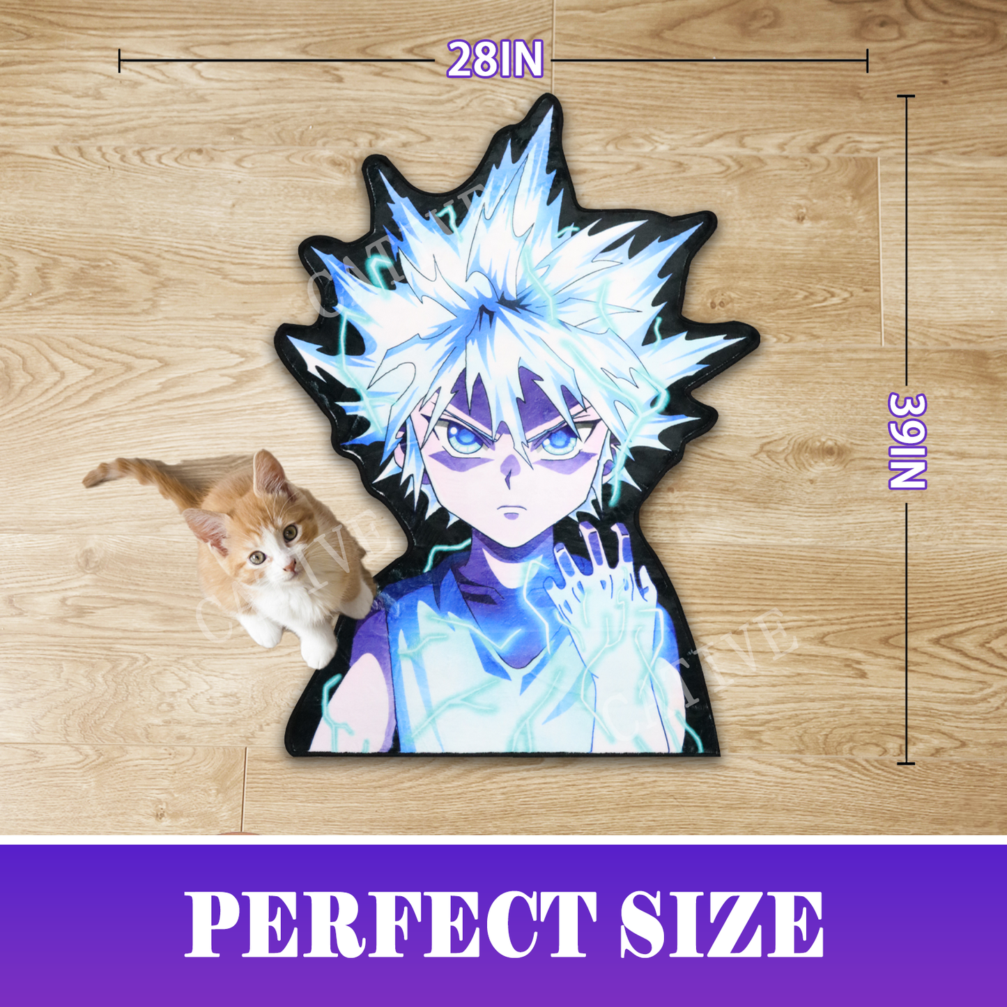 Killua Zoldyck morphometric
